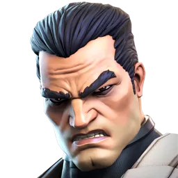 PUNISHER